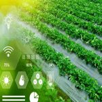 Smart Agriculture