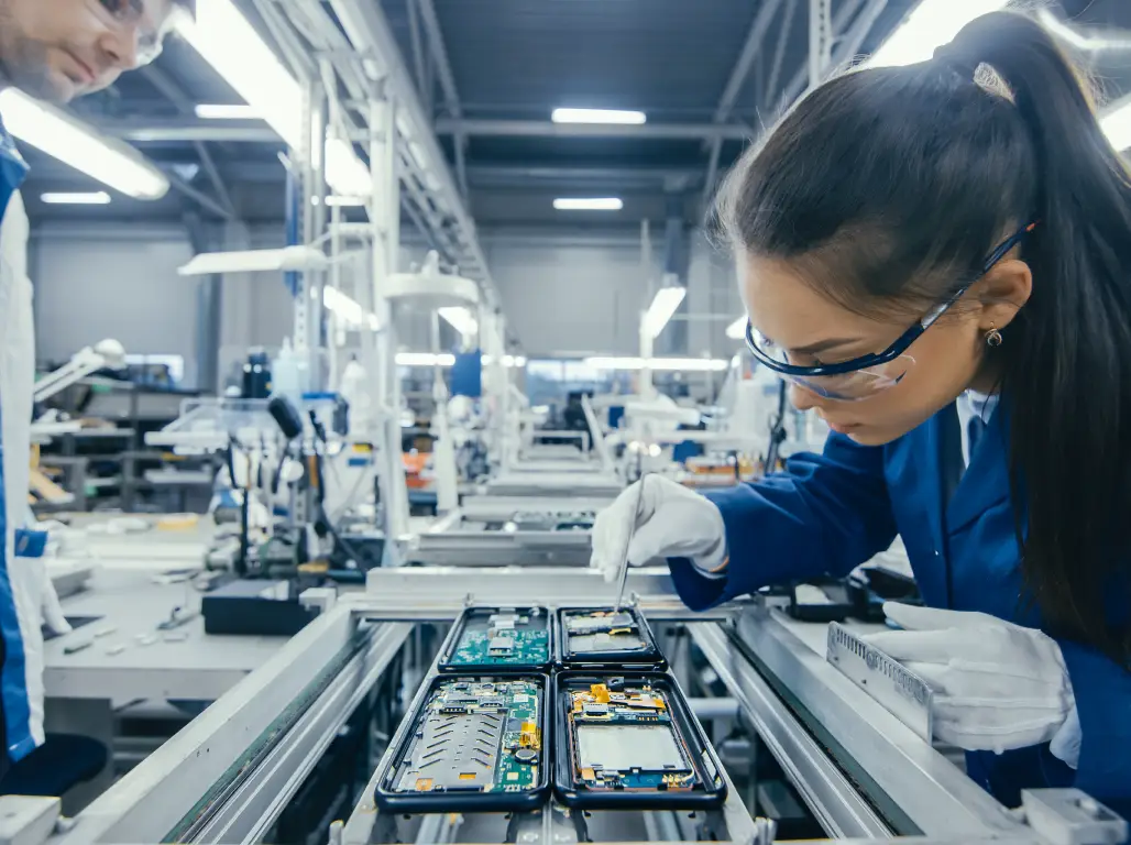Electronic Assembly